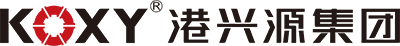 廣東（dōng）港興（xìng）源控股（gǔ）集團有（yǒu）限公司